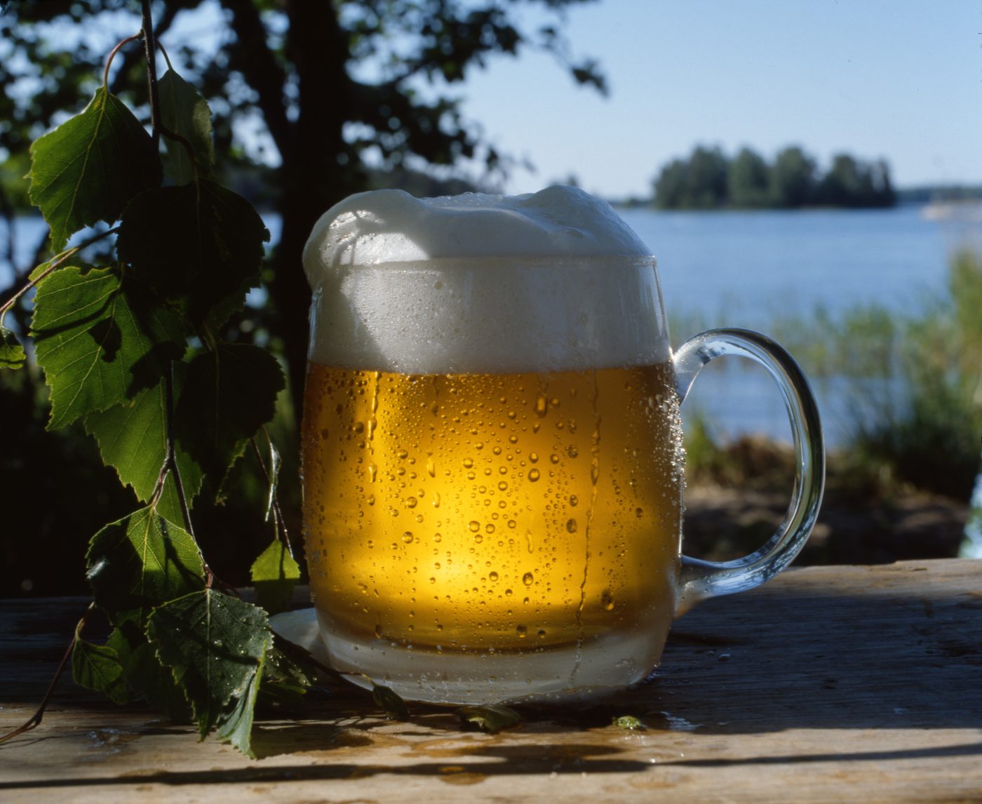 Olut on paras kesäinen panimojuoma – lonkeron suosio vahvassa nousussa